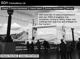 sghconsultancy.co.uk